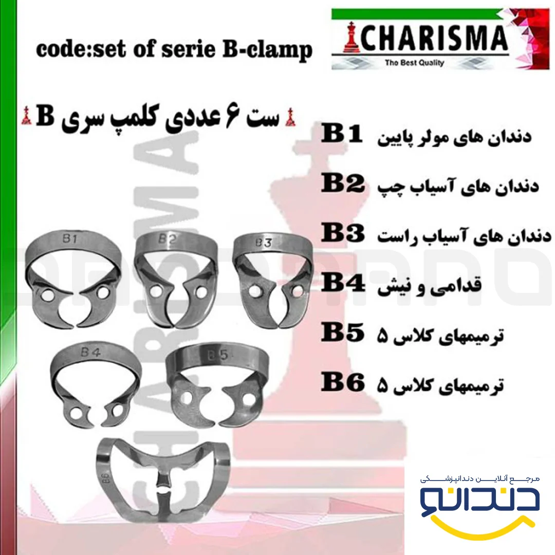 کلمپ رابردم سری B برینکر (ست و تکی) - کاریزما